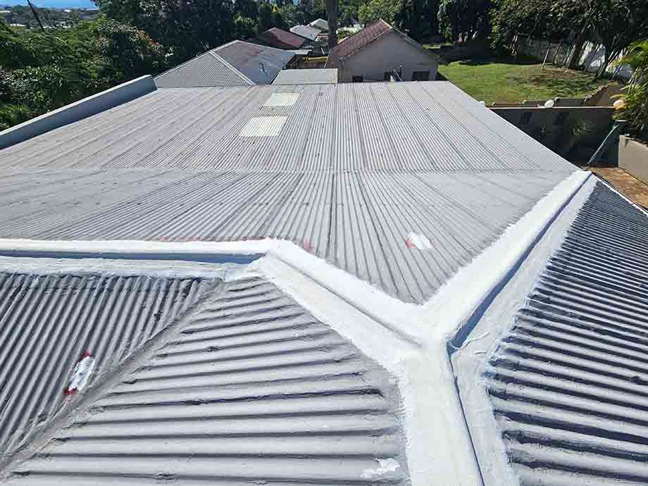 Clean carport sheeting and steel rafter assembly
